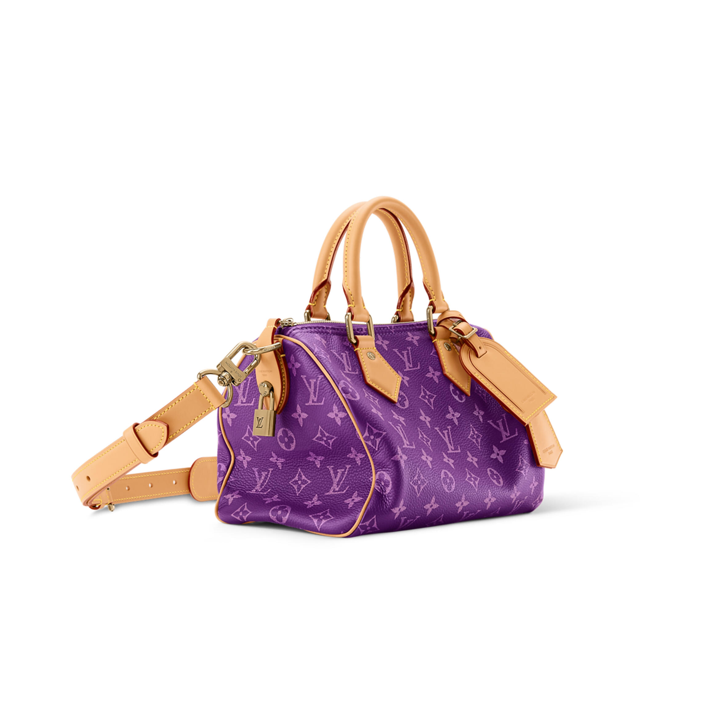 l0vis Vvtt0n master speedy p9 bandouliÈre 25 m28383 (25*15*15cm)